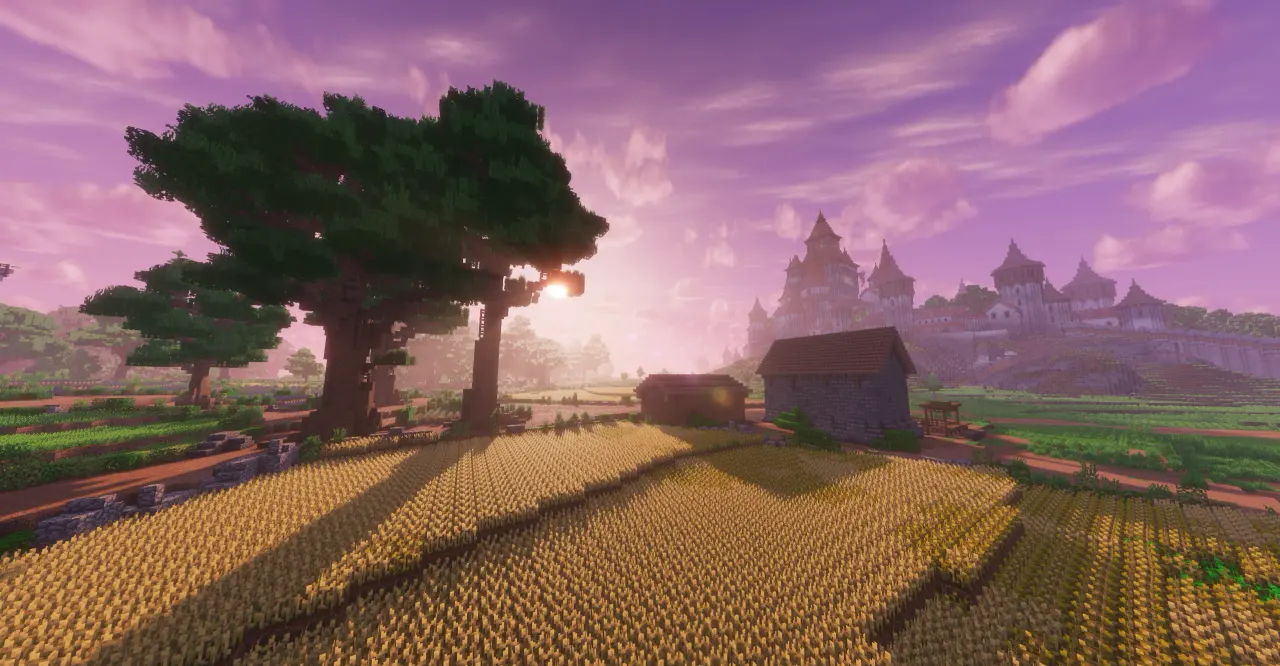 Arkendis au couchant : les champs de blé, et le château au loin sous un ciel violet.